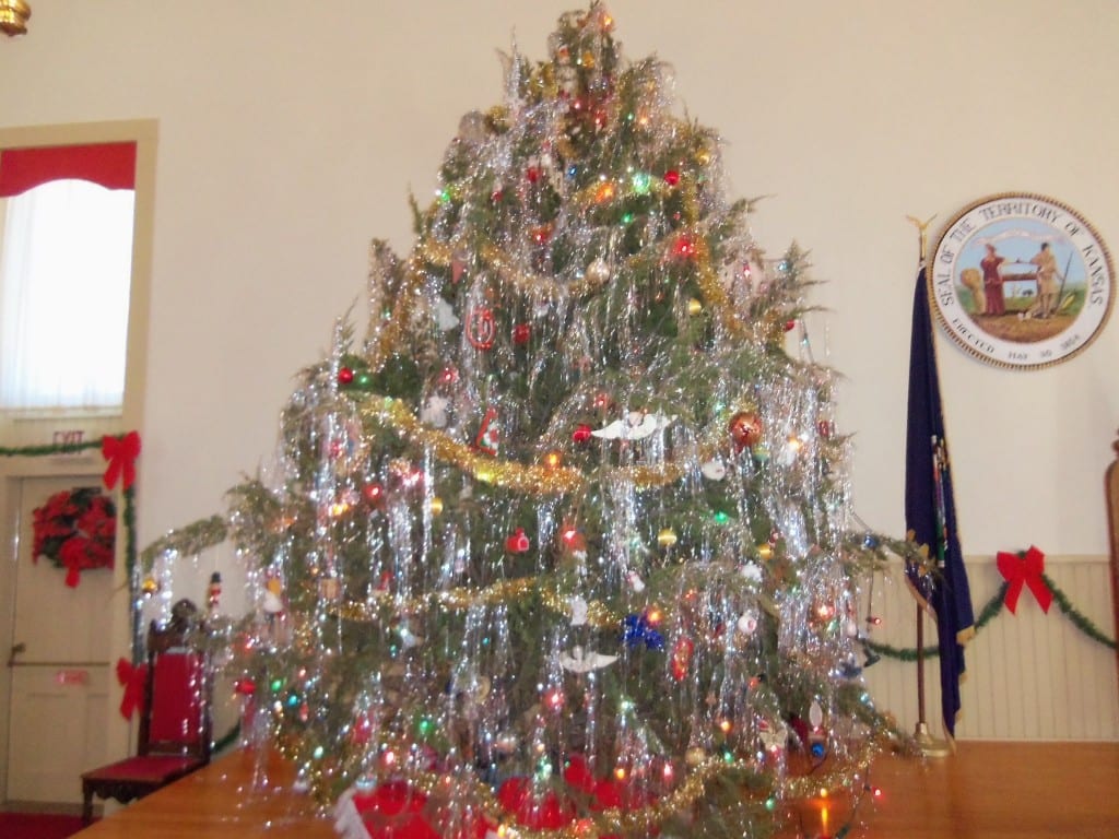 See-over-44-Christmas-trees-Nov1-through-Jan1