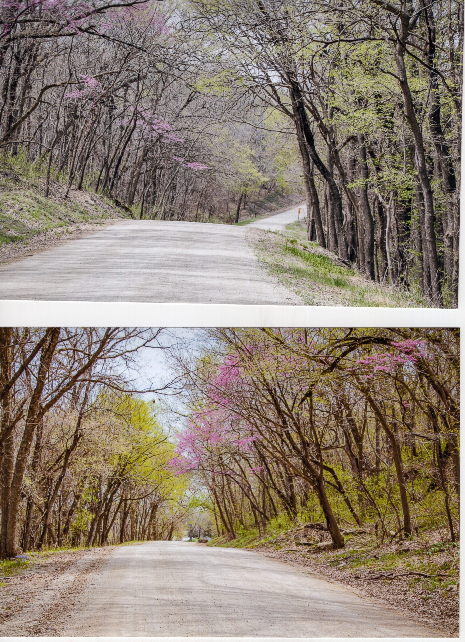 scenic drive010 Scenic River Road, Lecompton, trees, Kansas River, BNSF